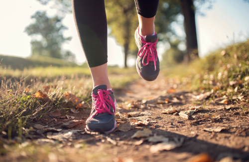 Exercise Basics